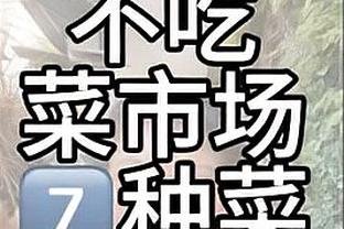 葡媒：拜仁在关注葡体中卫迪奥曼德、枪手利物浦切尔西也对他有意